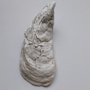 White Textured Wall Art Sculpture